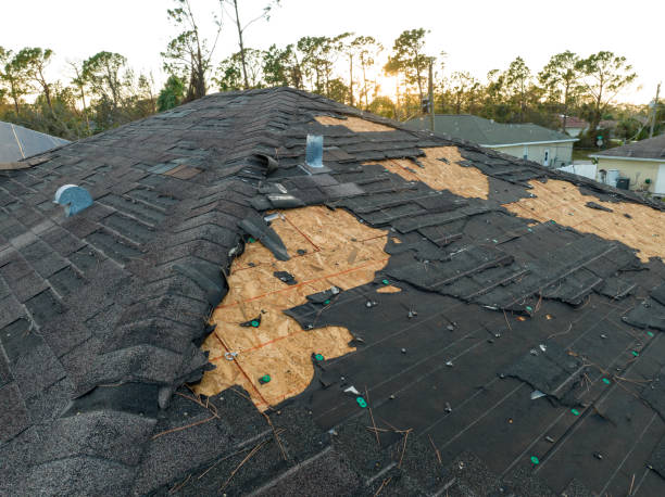Best Roof Moss and Algae Removal  in Sandy, OR